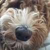 toby0202